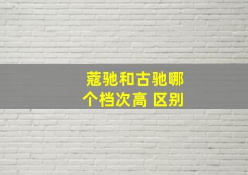 蔻驰和古驰哪个档次高 区别